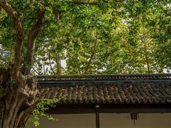 -苏州文庙(姑苏区)