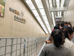 -胖东来生活广场(健康路店)