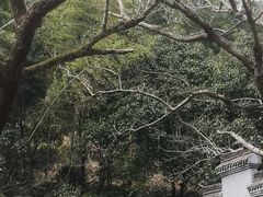 -宁波五龙潭景区