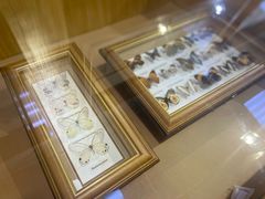 -上海昆虫博物馆