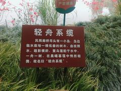 -重庆彩云湖湿地公园