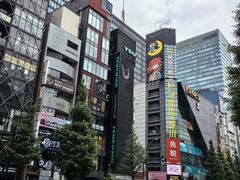 -秋叶原电器街
