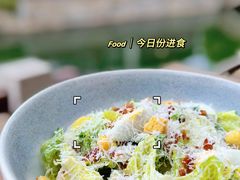 -弗兰克牛排西餐厅 Galla R By Ribone(上海首店)