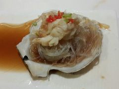 扇贝-Vista黔城(新业广场店)