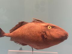 -天津自然博物馆