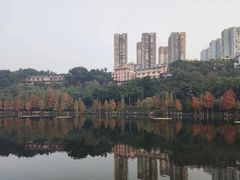 -重庆彩云湖湿地公园