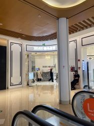 -YESIDO椰岛造型