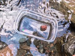 -西岭雪山大飞水景区