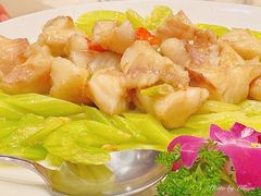 龍躉魚球-东国海鲜火锅城(氹仔店)