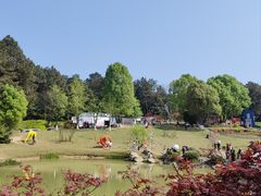 -铁山坪森林公园