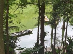 -深圳仙湖植物园
