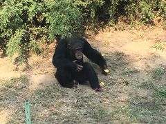 -石家庄市动物园