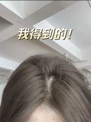 -蚂蚁造型俱乐部