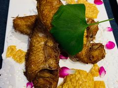 香煎玫瑰鱼-怡园饭店-餐厅(四望亭店)