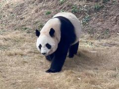 -杭州野生动物世界