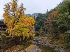 -楠溪江风景名胜区