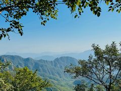 -大岭沟猕猴桃谷风景区