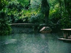 -广州兰圃