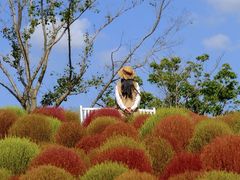 -花开海上生态园
