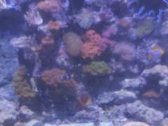 -江和美海洋公园