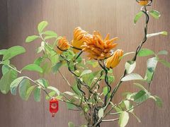 -广州酒家(天字码头店)