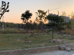 -太原动物园