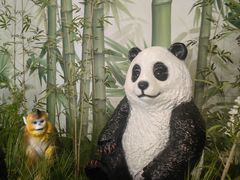 -秦皇岛野生动物园