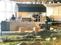 大堂-Seesaw Coffee(朝阳大悦城店)