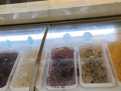 -圣雷克大酒店