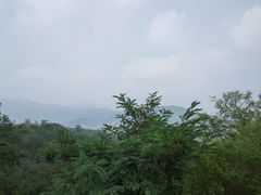 -黄金寨原生态旅游区