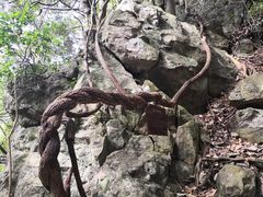 -磐安十八涡风景区