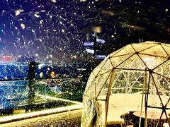 -顽啤熊·酒客酒馆(苏城夜景必选店)