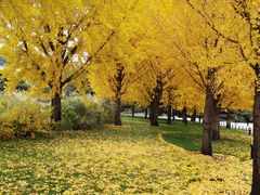 -北京植物园-展览温室