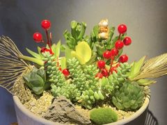 -霖公馆SPA·足道(普善路店)