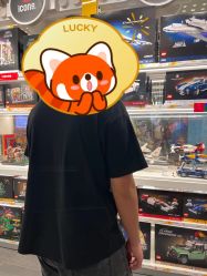 -乐高品牌旗舰店(人民广场店)