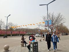 -大槐树寻根祭祖园