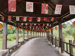 -碧海金沙