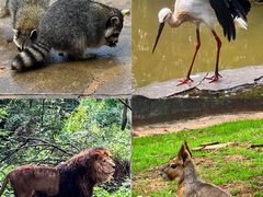 -云南野生动物园