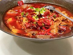 -金鼎轩(方庄天坛店)