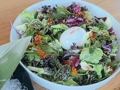 -Hatsune隐泉日式料理(三里屯太古里店)