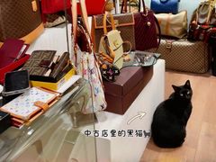 -HelloHi Vintage中古店