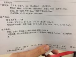 -上海市长宁区妇幼保健院