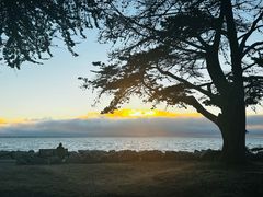 -香港东海海鲜酒家