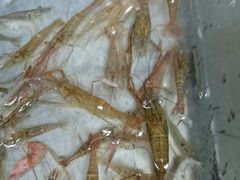 炖鱼-金台阶鱼馆(于桥水库店)