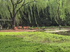 -石家庄市动物园