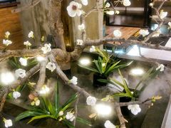 -盛江山自助料理(奥莱锦辉购物广场店)