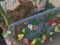 -秦皇岛野生动物园