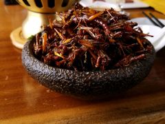 -慢丽江·云南野生菌土鸡锅(西山店)