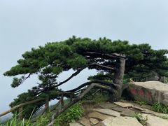 -罗田薄刀峰风景区