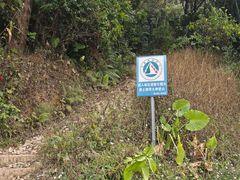 -黄埔油麻山森林公园